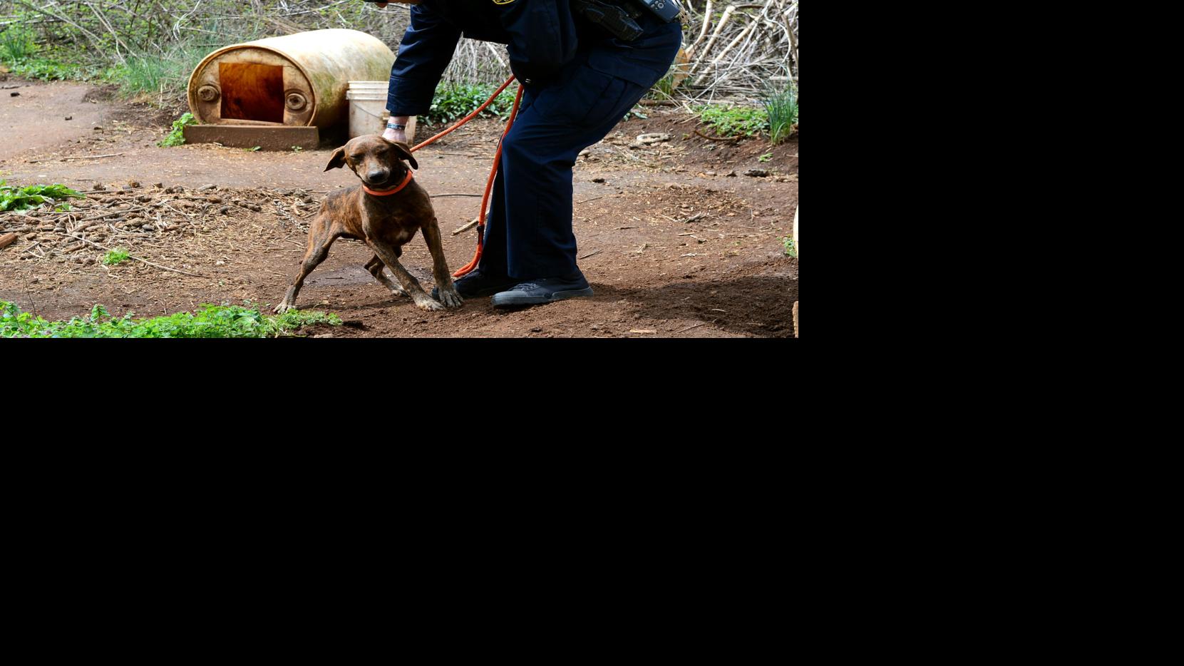 Animal Cruelty Case Dismissed After Evidence Thrown Out News