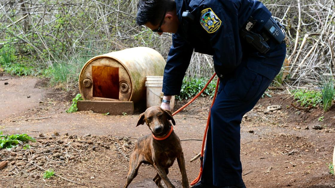 Animal Cruelty Case Dismissed After Evidence Thrown Out News Animal Cruelty Case Dismissed After Evidence Thrown Out News
