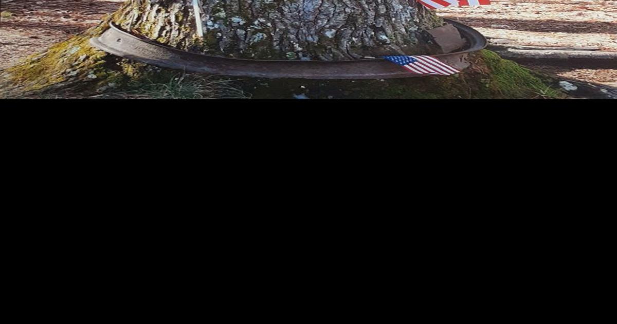 Cades Cove Pearl Harbor memorial tree has added barricade News
