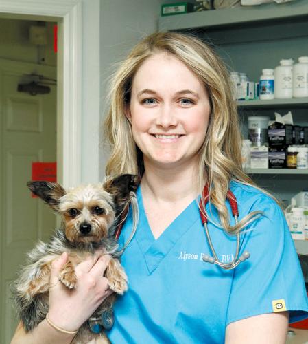 pet well clinic alcoa