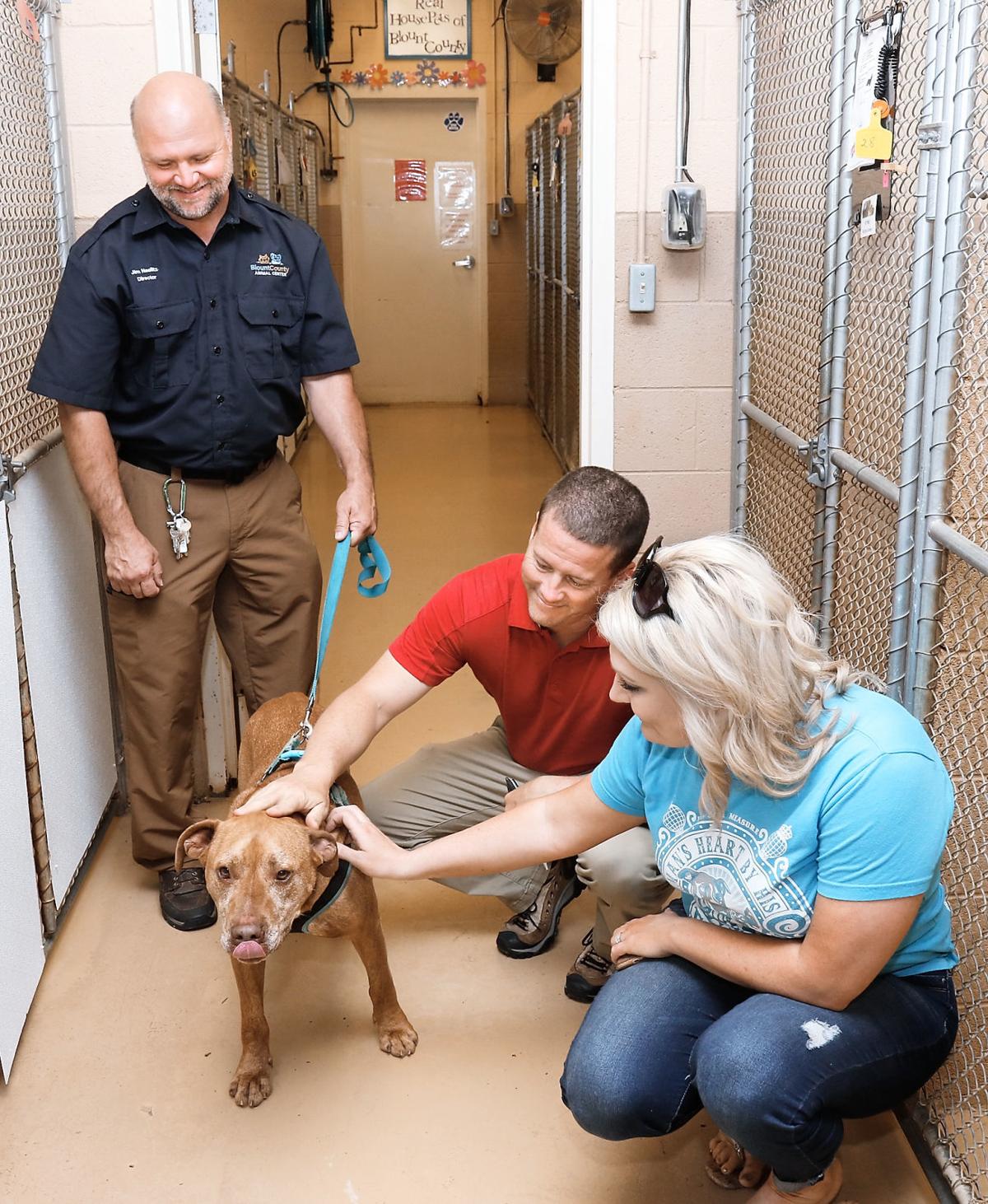 Grayson Hyundai sponsors two kennels at Blount County ...