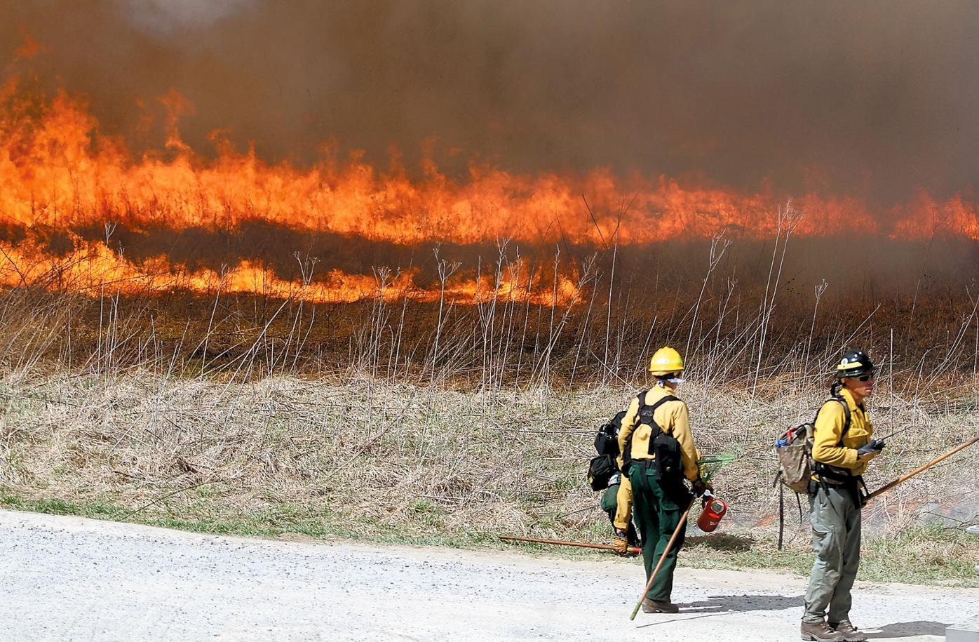 Great Smoky Mountains National Park turns to fire to preserve Cades