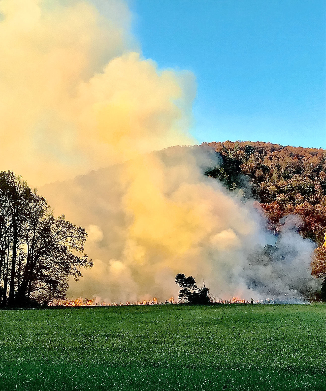 Cades Cove Fall 2020 Burn A Slow One News Thedailytimes Com