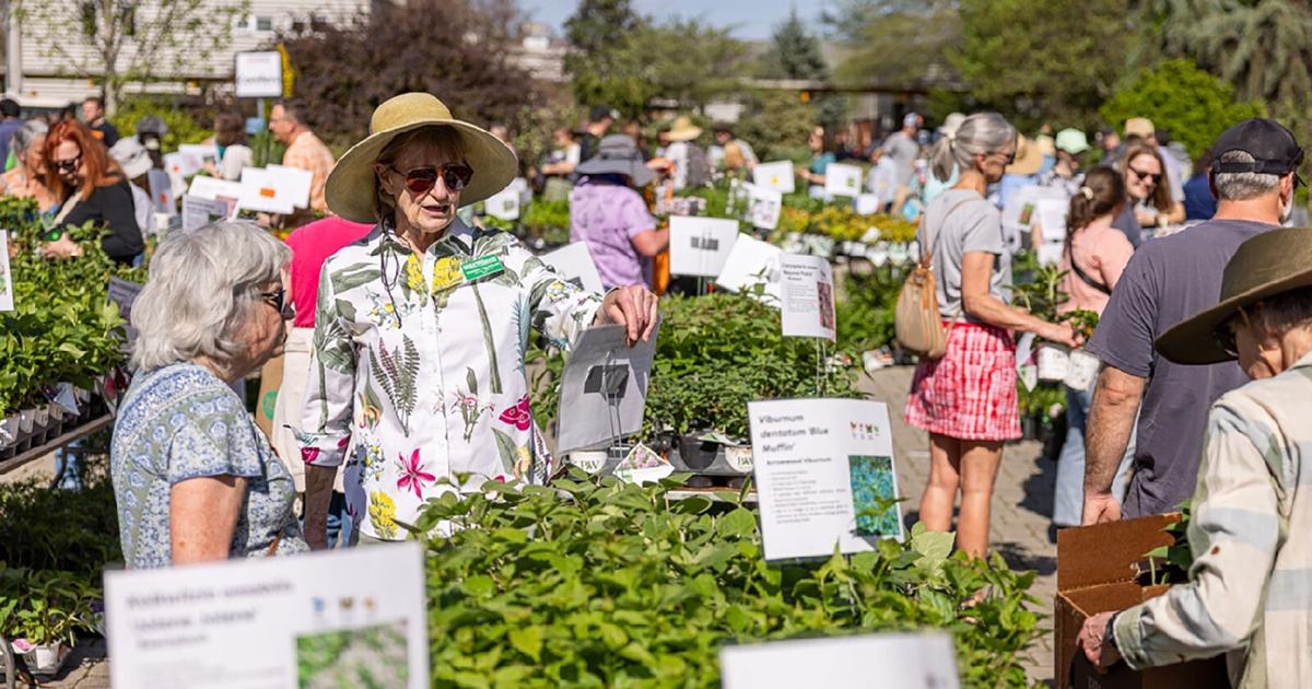 Spring Planting Event Start your garden with the Spectacular Spring Plant Sale | Community ...
