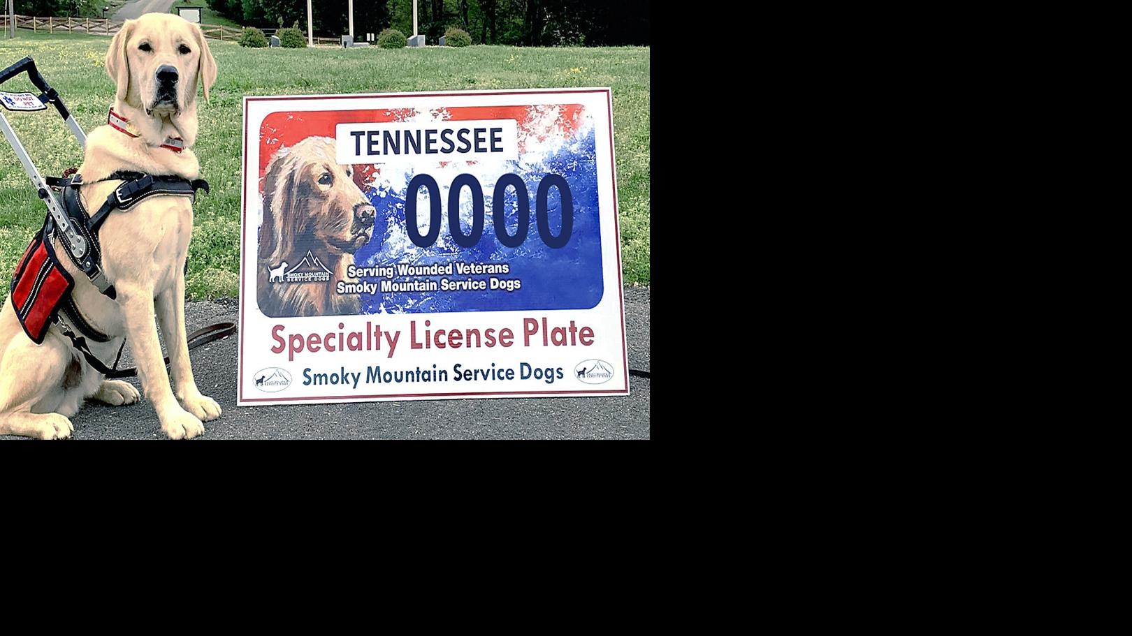 how-to-apply-for-a-service-dog-license-reverasite