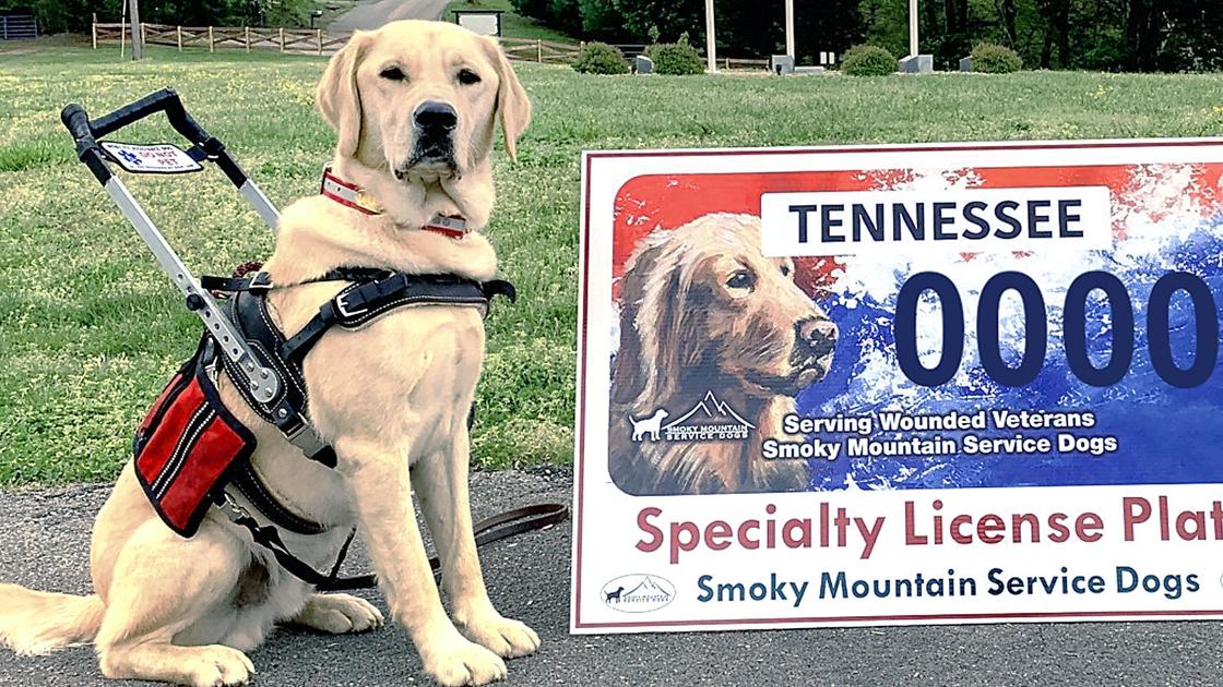 How To Apply For A Service Dog License Reverasite how-to-apply-for-a-service-dog-license-reverasite