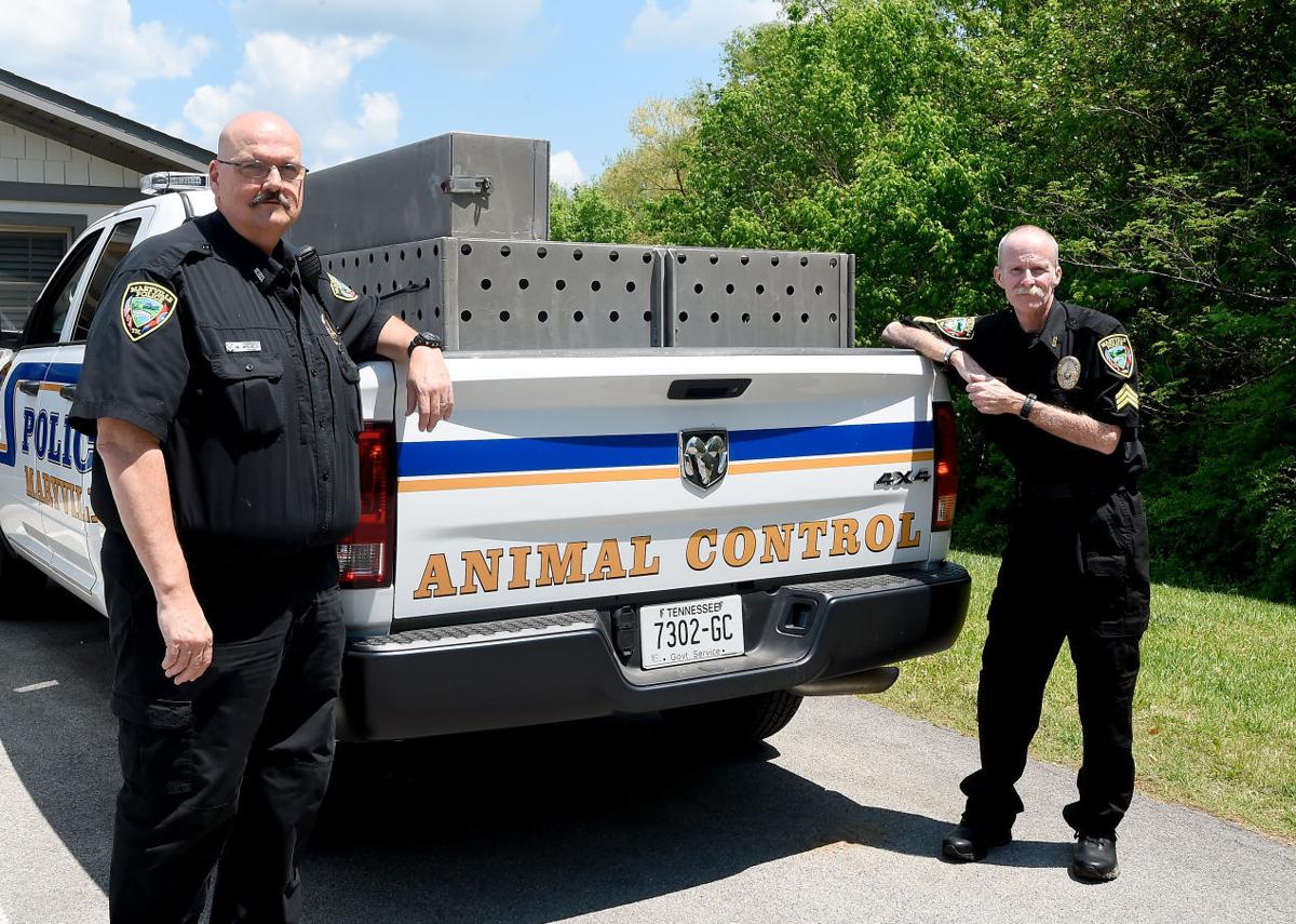 Nokill Maryville Animal Shelter takes euthanasia to zero News