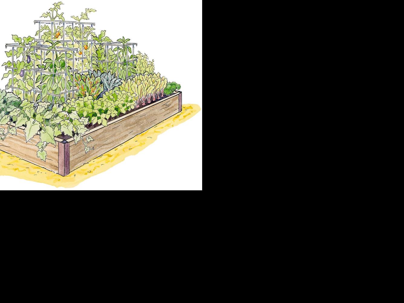 Make plans for high yield vegetable garden this season ...