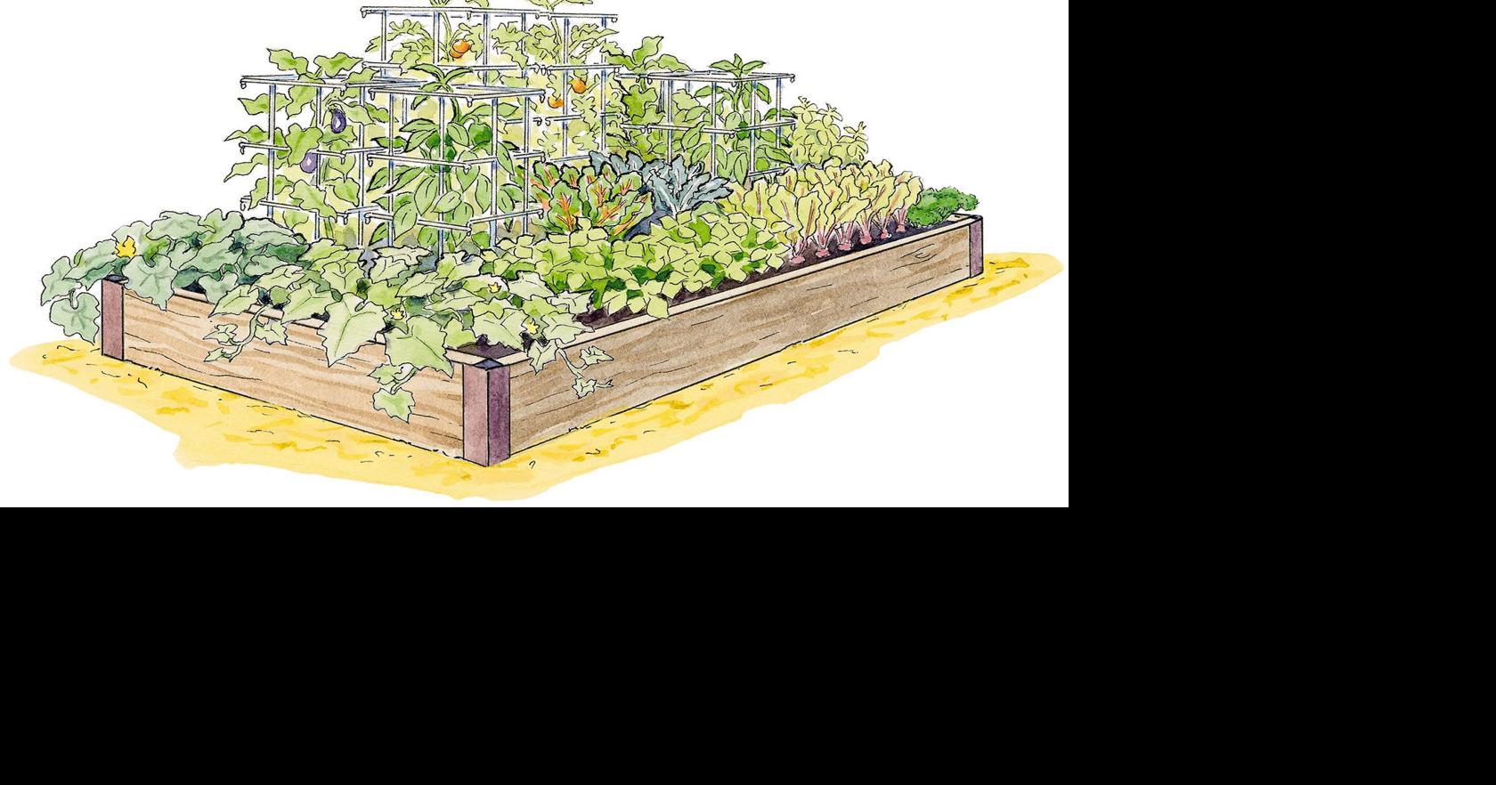 Make plans for high yield vegetable garden this season Community