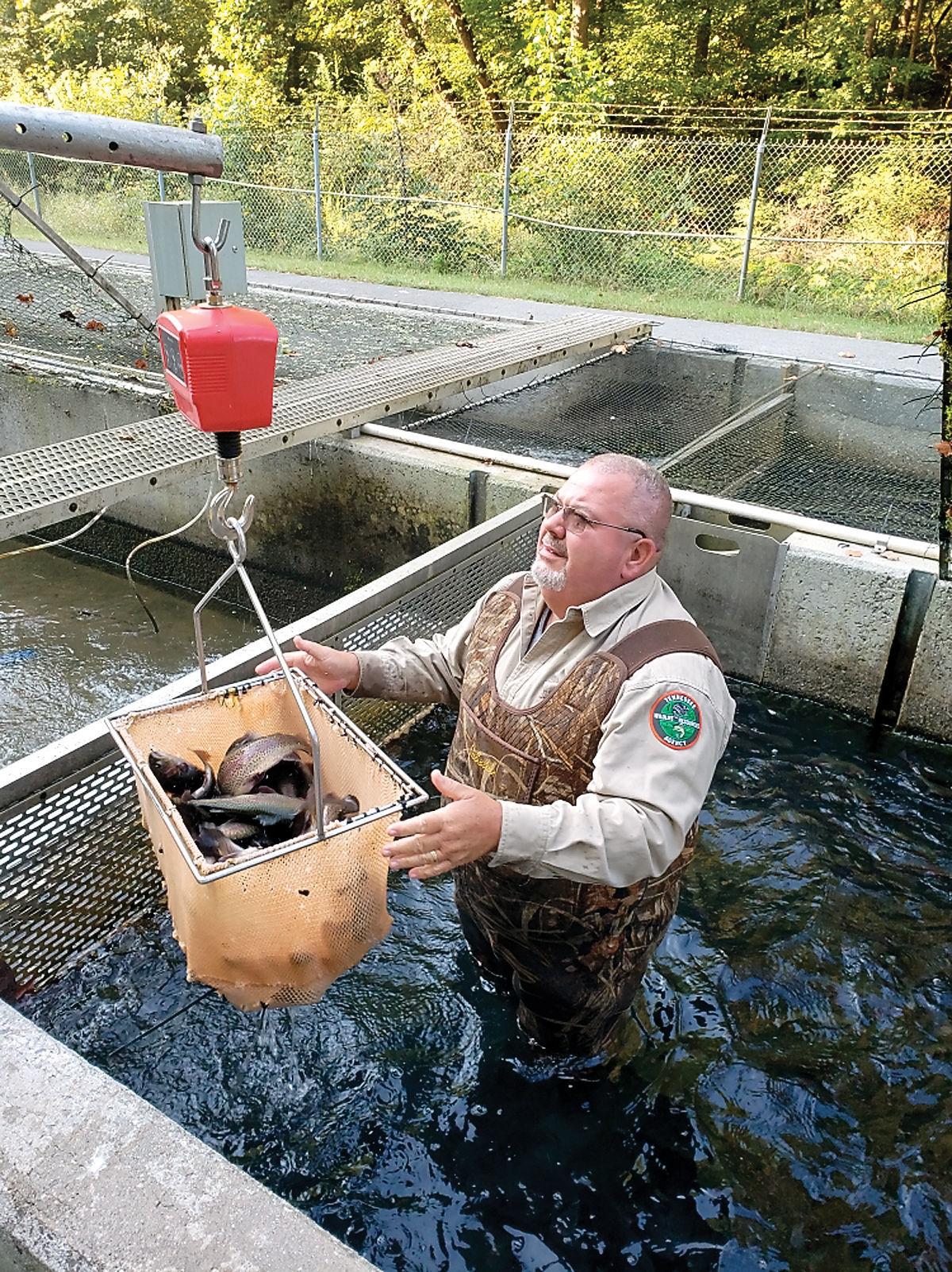 Winter Stock Twra Plans Inaugural Rainbow Trout Stock For