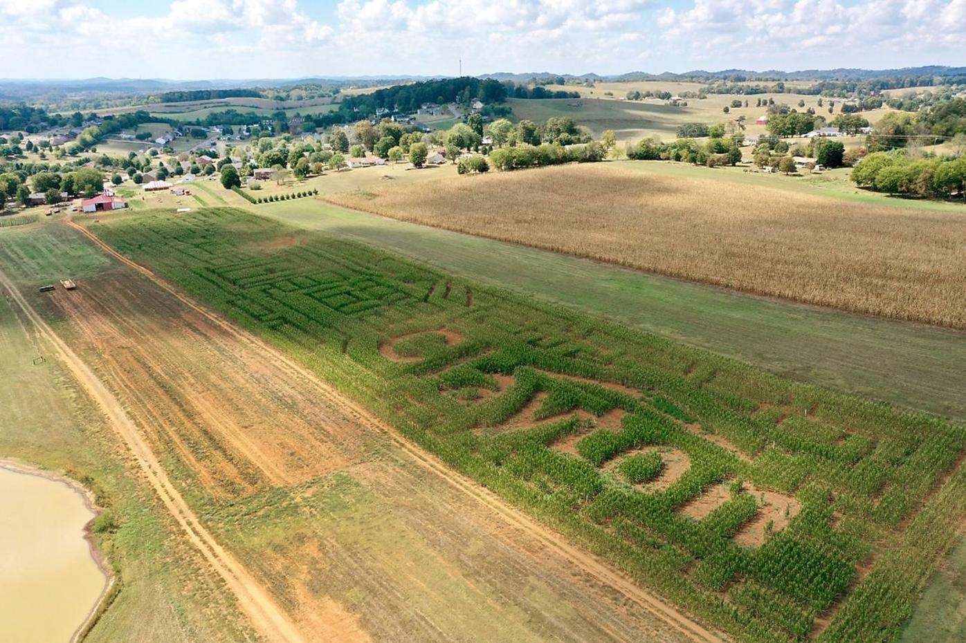 Maple Lane Farms Corn Maze Opens Today Business Thedailytimes Com Today the farm is filled with thousands of christmas trees, each waiting for the right family to take it 28366 johnson lane harbeson, de 19951. maple lane farms corn maze opens today
