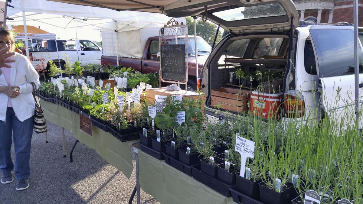 Maryville Farmers Market kicks off 10th Anniversary season Business