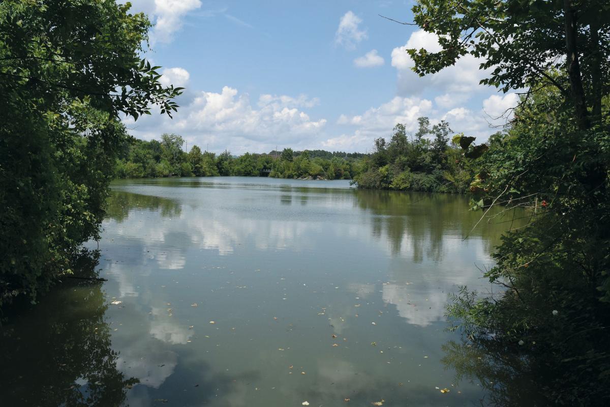 Alcoa considers Springbrook lake improvements News