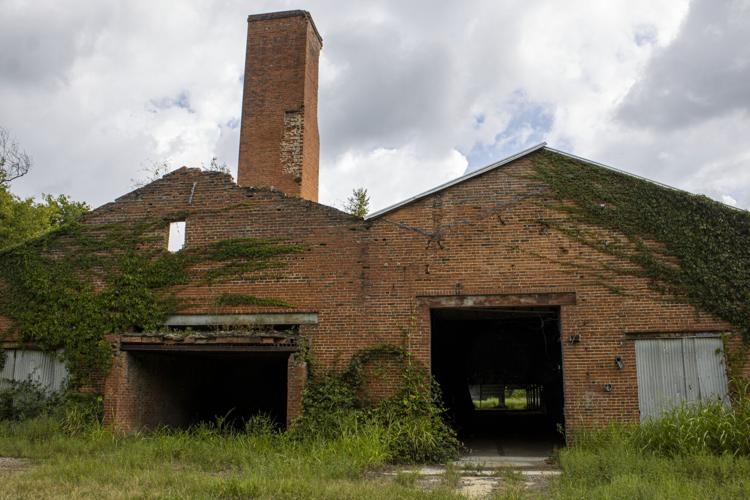 What Springbrook Farm in Alcoa could look like by the end of the year
