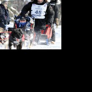 The first-hand account of 42nd Iditarod - Pre race | Sports ...