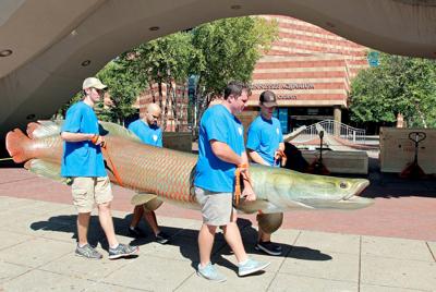 exhibit opens at tennessee aquarium
