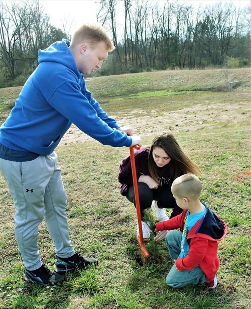 Greenback Tree Planting
