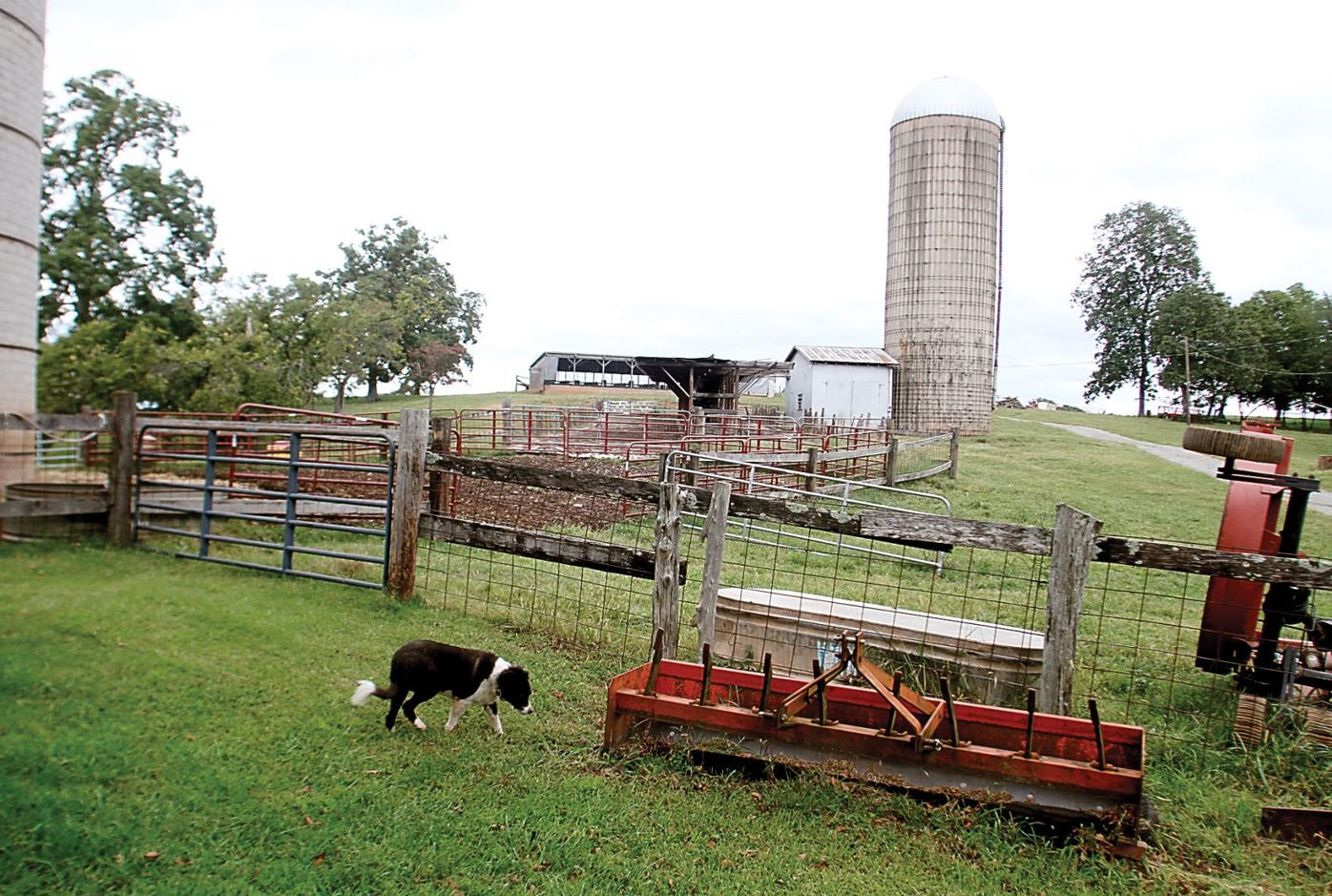 The Walkers on Walker Road; Family traces ancestors for Century Farm