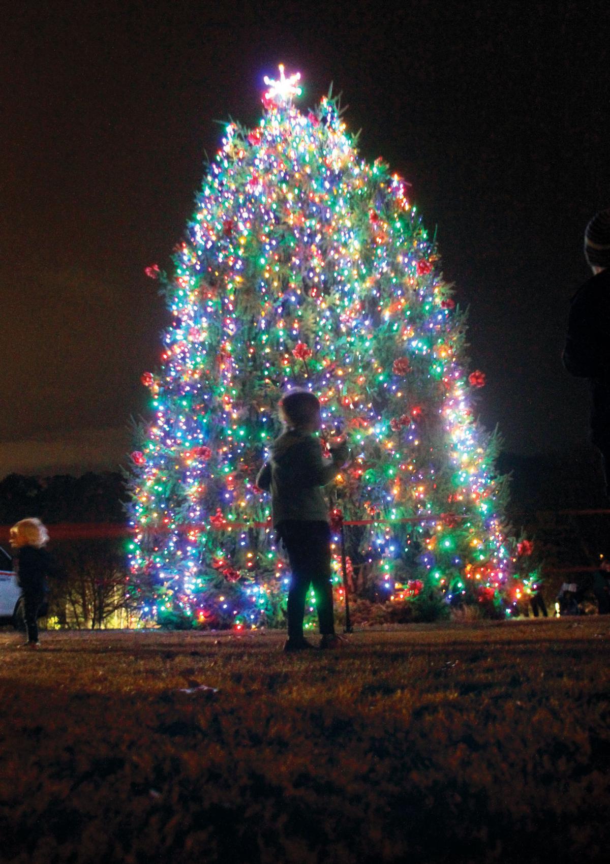 Springbrook Community Christmas Tree Springbrook Community Christmas Tree