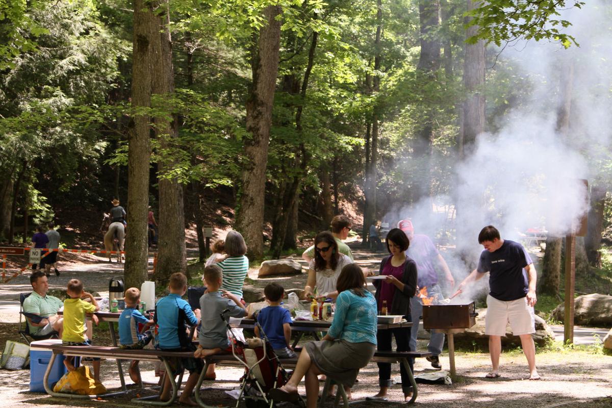 Great Smoky Mountains National Park offers camping, other services