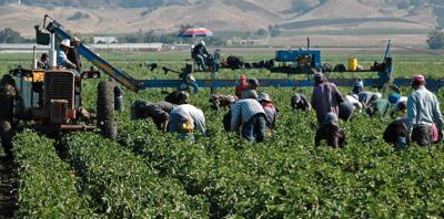 House advances bill to ensure state minimum wage for migrant workers
