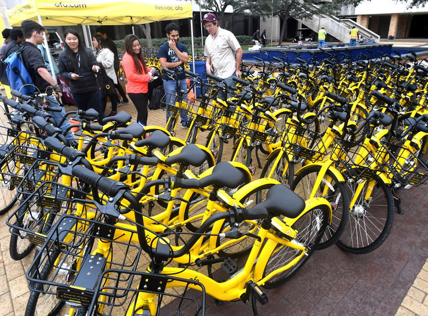 ofo bike sharing