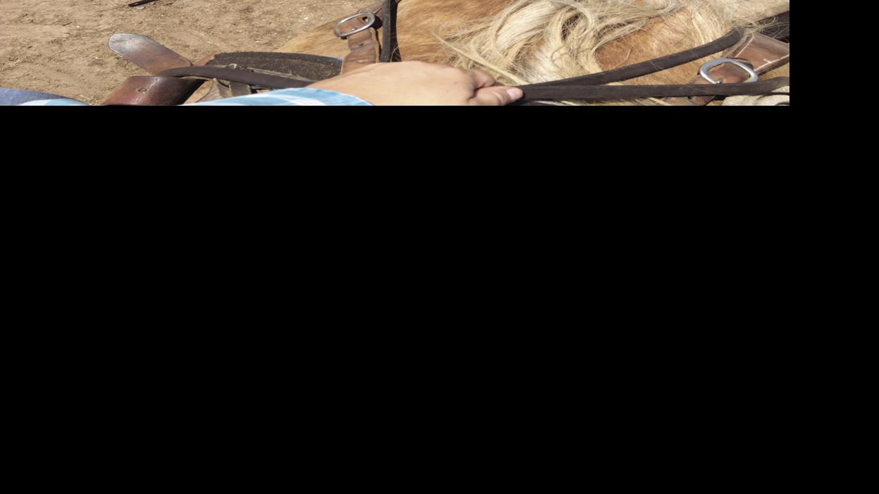 Minimum water consumption requirements for beef cattle Land