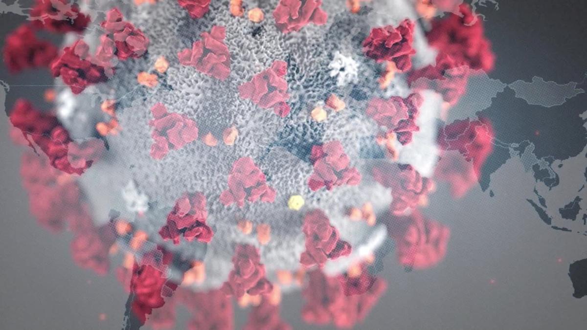 State reports 20 new COVID-19 cases in Brazos County Thursday ...