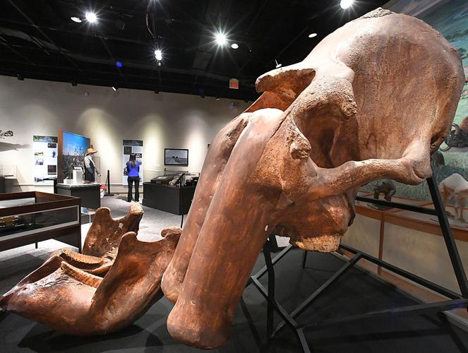 Brazos Valley Museum of Natural History's 'The Legacy of a Mighty River ...