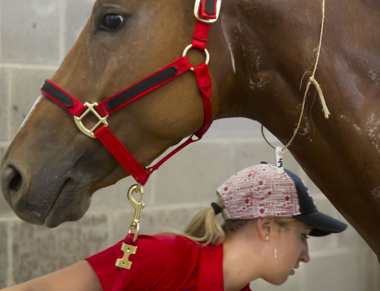 No, the other World Cup News