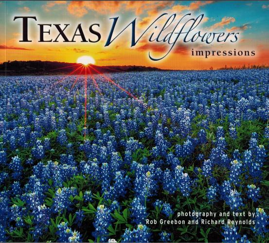 Texas wildflowers make good impressions