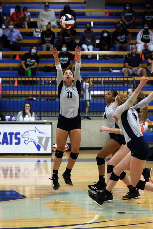 bryan volleyball