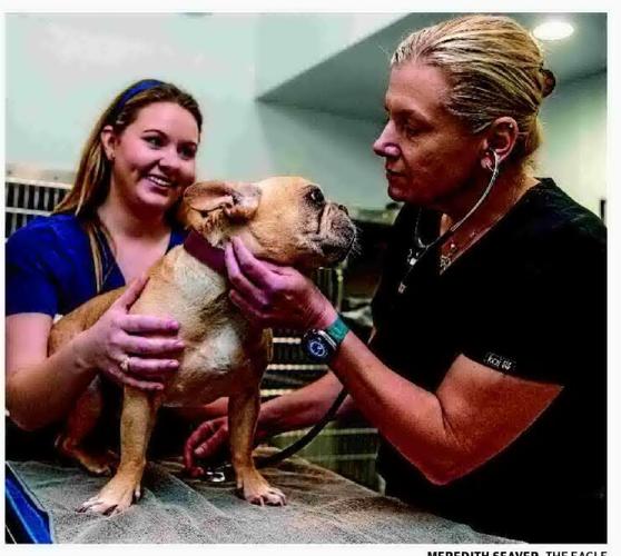 HOSPITAL AIMS AT HELPING VETS, PETS