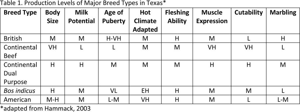 Here S The Beef Basics For Selecting A Bull Land