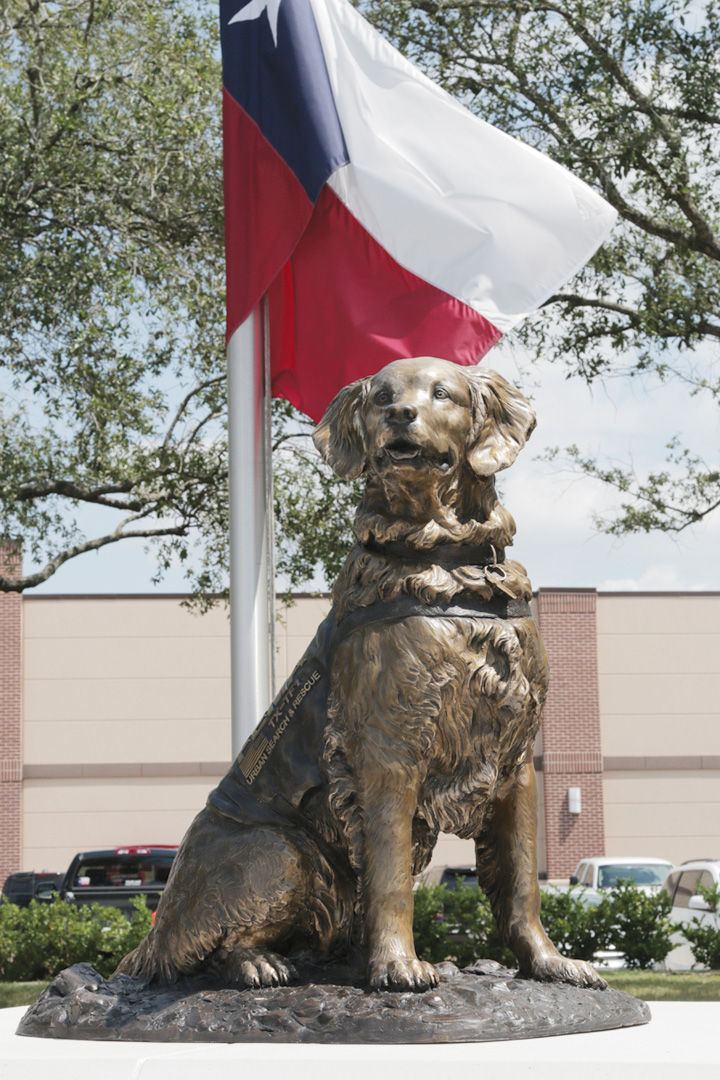 Last 9/11 search and rescue dog honored with hometown statue Local