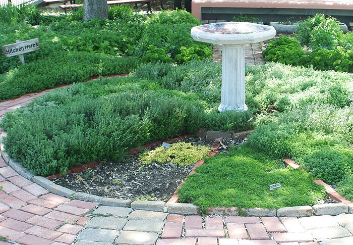 RICHTER Herb garden