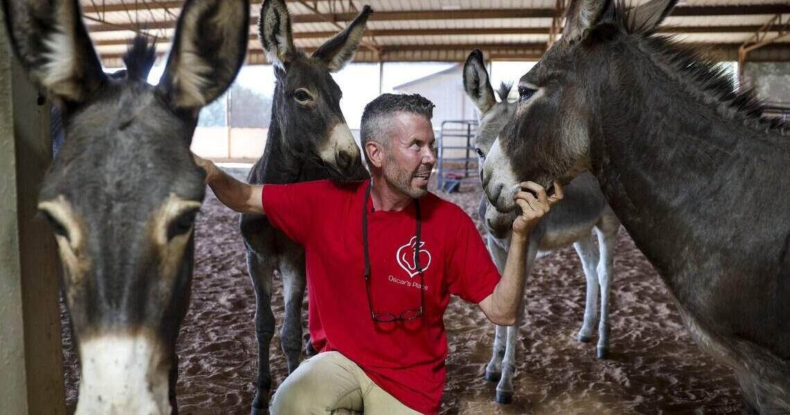 US-NEWS-DONKEY-KING-OPENS-FIRST-DONKEY-1-FT.jpg