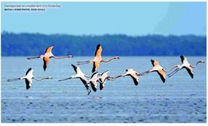 featured-image