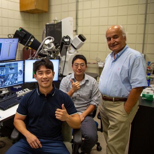 Research team upcycles plastic waste into premium high-performance lubricants