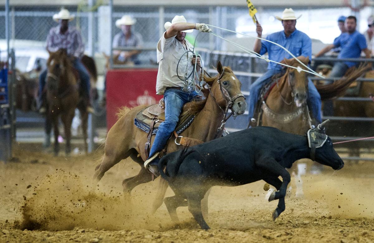 Team roping competition