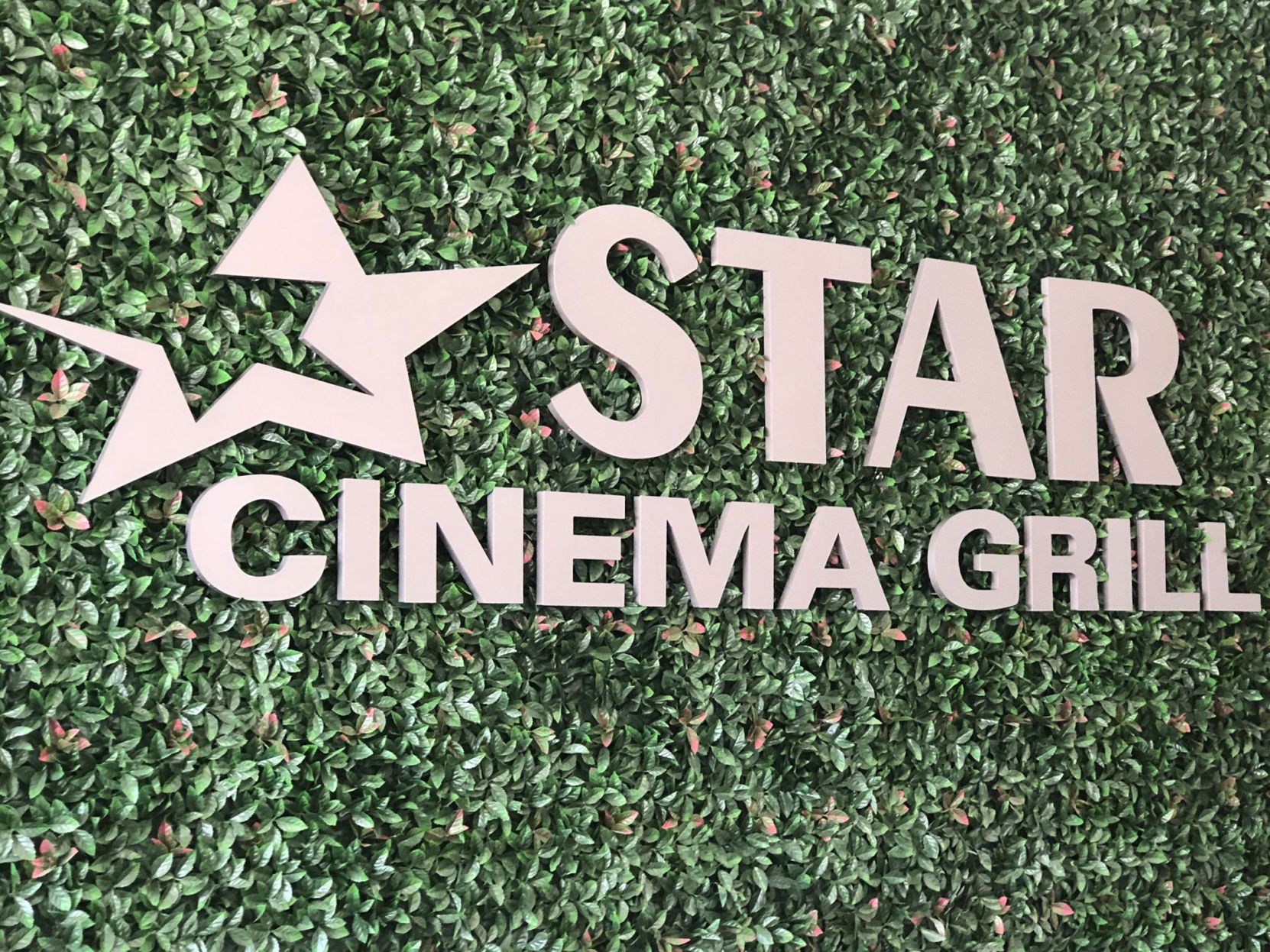 star cinema grill vintage park