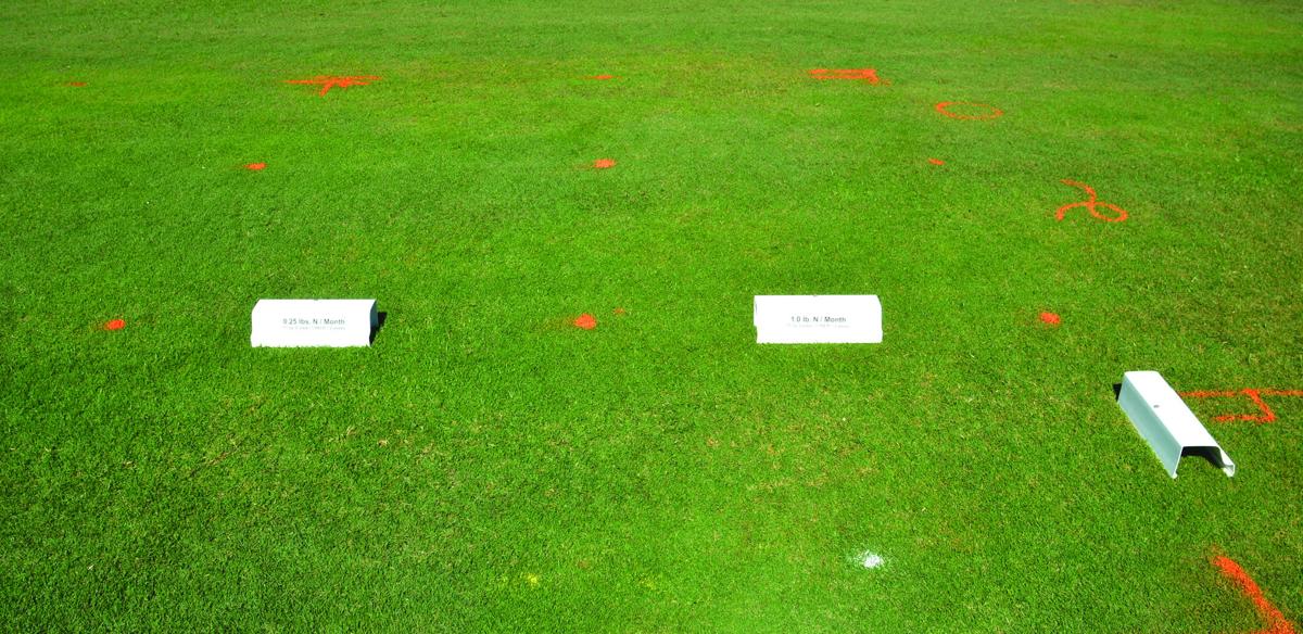 Working To Keep Athletic Fields Greener Longer Land Livestock