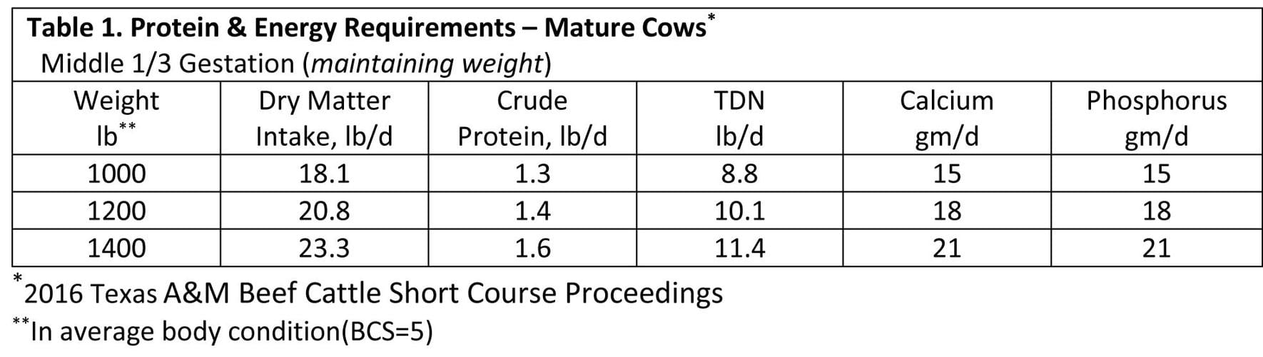 Menu choices How much should I feed my cows?