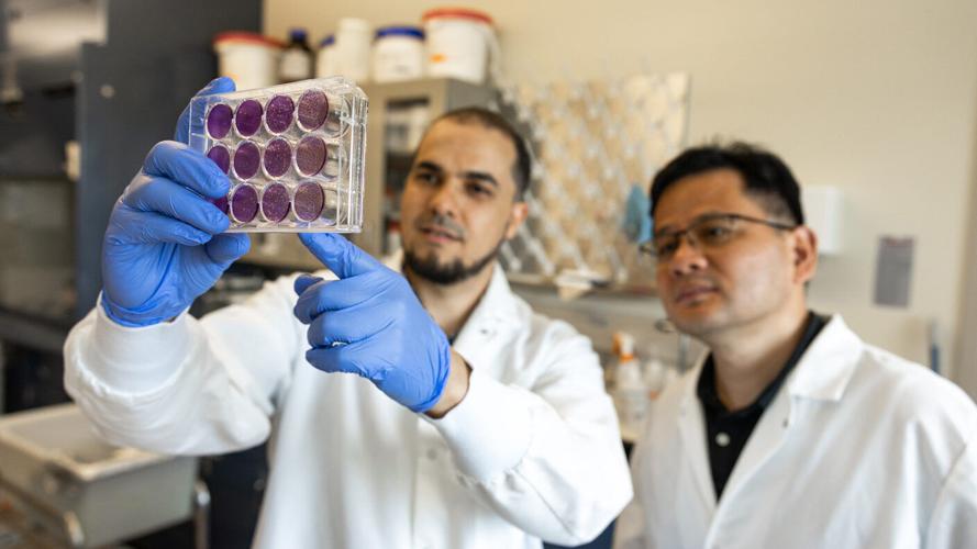 Too much RNA can starve cells of energy, study finds
