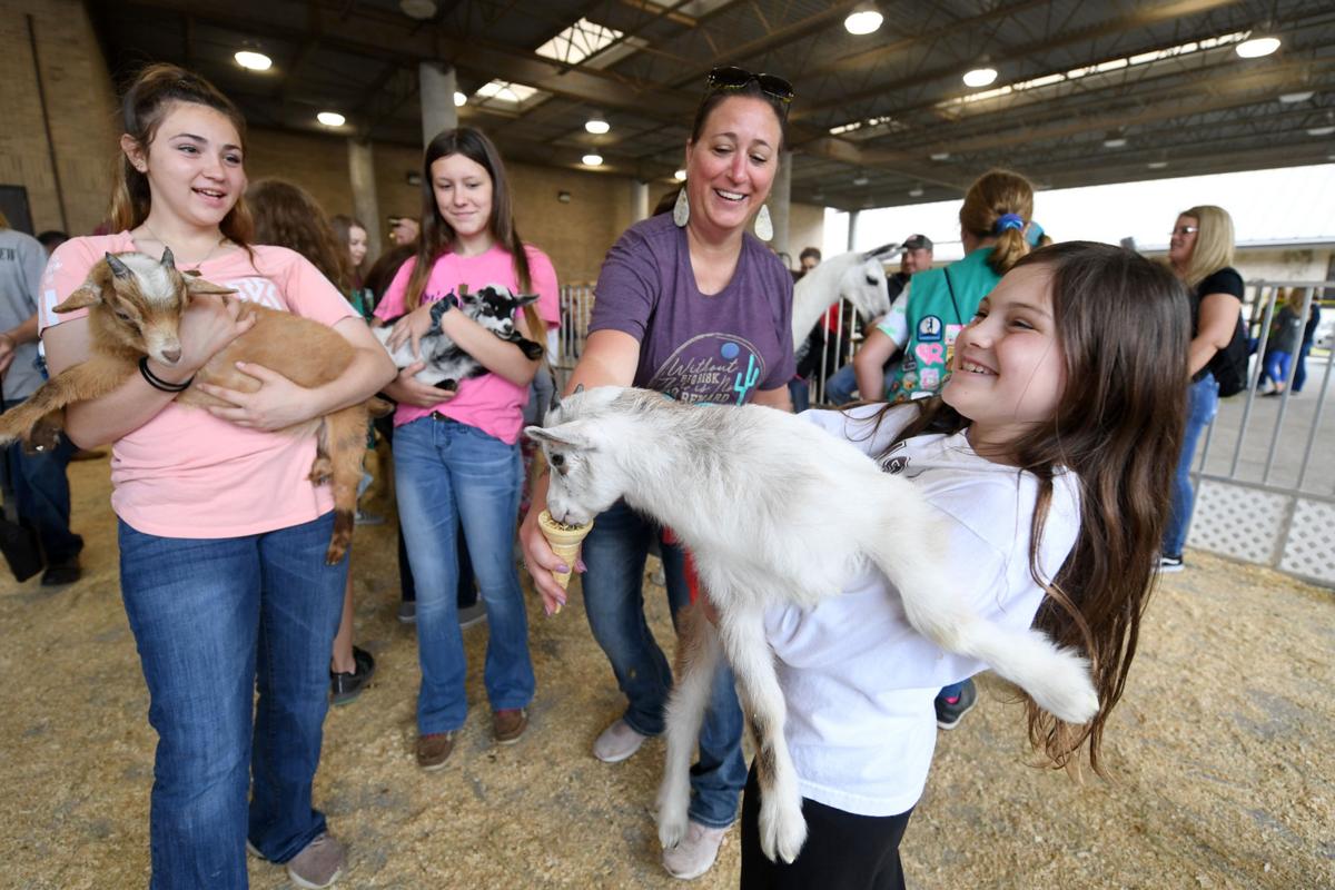 Texas A&M vet school hosts open house featuring hospital tours, animal interactions | Latest Headlines | theeagle.com