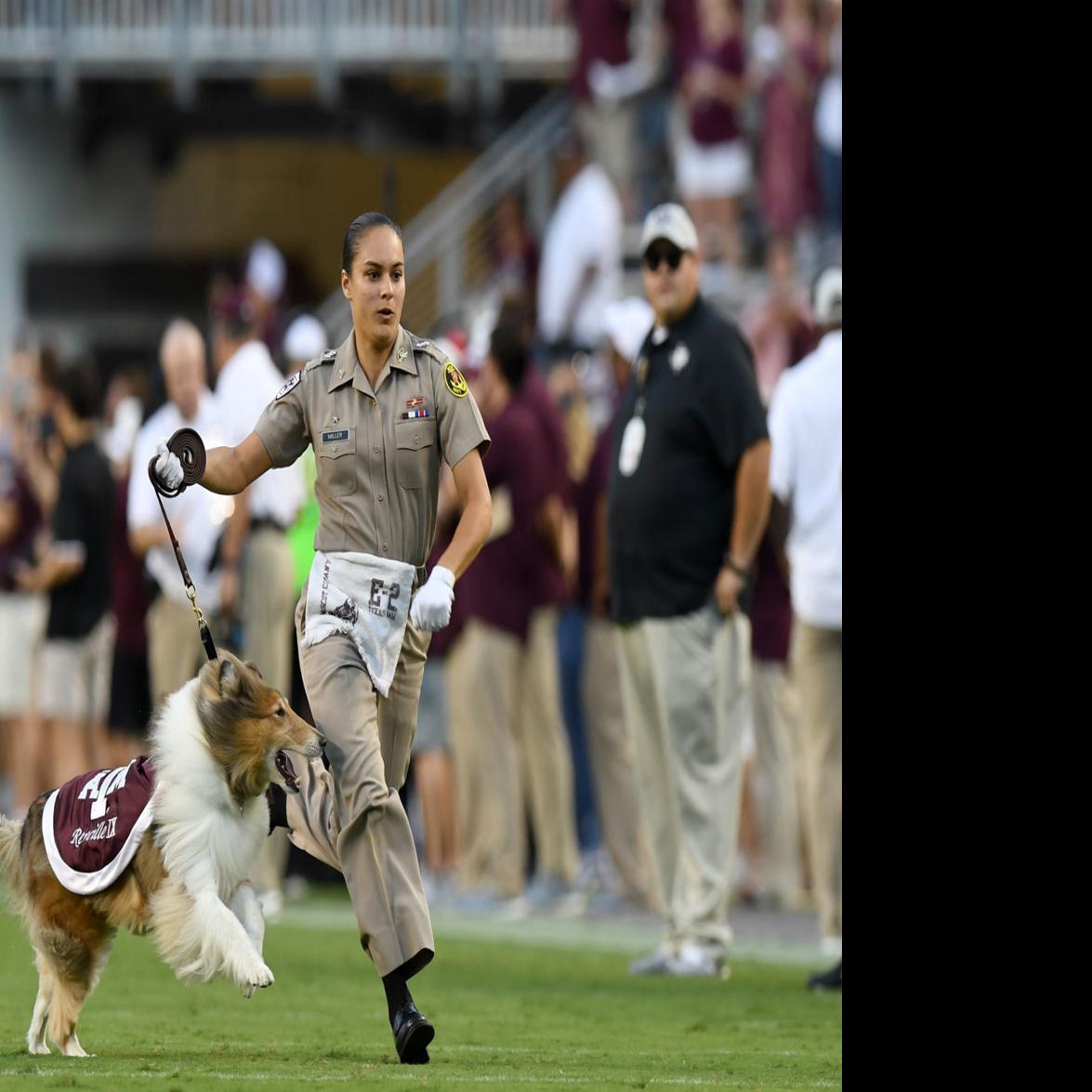 Breaking New Ground Mia Miller On Life With Reveille Ix Brazos