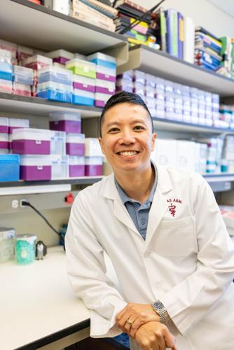 Lab-grown canine muscle cells offer solution for early therapeutic testing