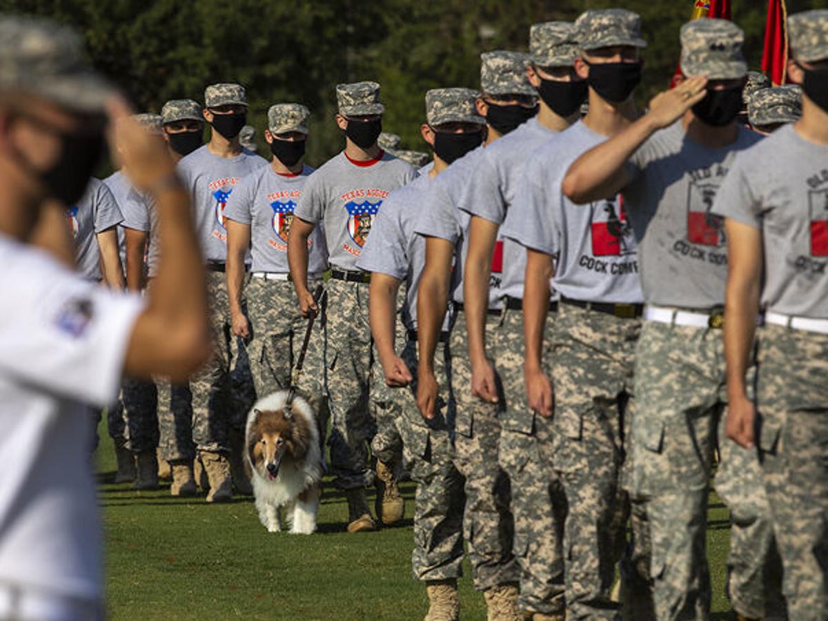 Corps Of Cadets Fish Review Takes Steps To Be Safe Amid Pandemic Local News Theeagle Com Texas Am 2022 Corps Of Cadets Fish Review