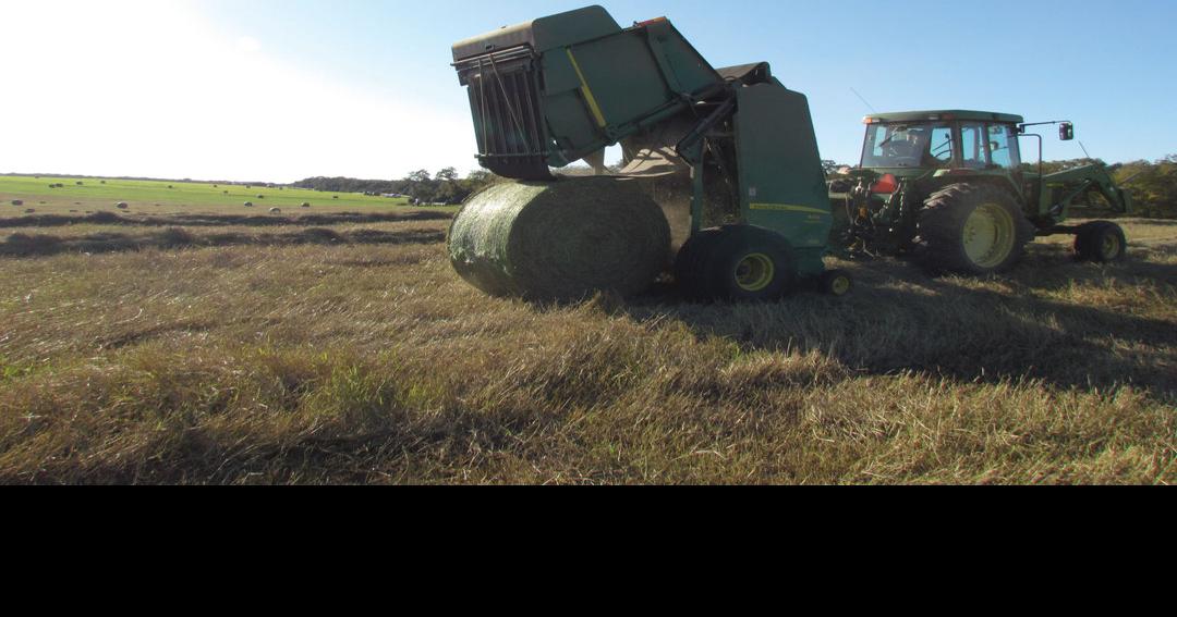 Hay there! Manage for highquality hay