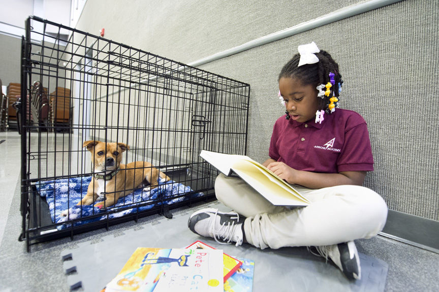 PAWS for Reading